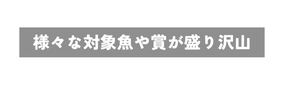 様々な対象魚や賞が盛り沢山